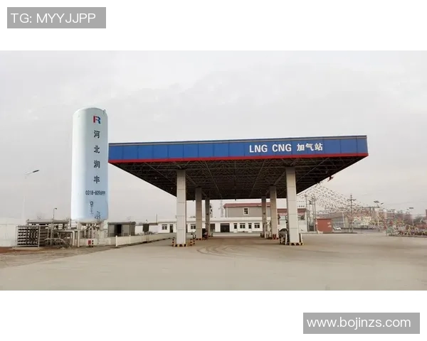 独家解析LNG行业团队协作模式的异同与发展趋势